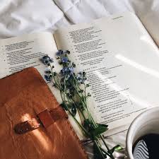 Books Books Books Book Aesthetic Books Bible