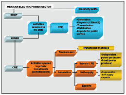 Industrial Organization For The Electricity Sector In Mexico