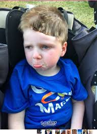 Tripp Halstead Updates