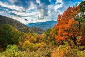 Image result for autumn picnic on blue ridge parkway