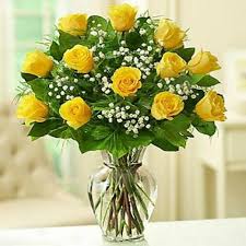 An unusual combination of roses and cacti. Dozen Yellow Roses