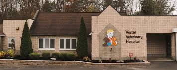 Maybe you would like to learn more about one of these? Veterinarian Vestal New York Vestal Veterinary Hospital