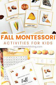 Fall Montessori Activities And Fall Lesson Plans For Preschool And Kindergarten Natural Beach Liv In 2020 Montessori Activities Fall Lesson Plans Activities For Kids
