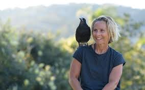 Penguin bloom is a 2020 drama film directed by glendyn ivin, from a screenplay by shaun grant and harry cripps, and is based on the book of the same name by cameron bloom and bradley trevor. The Story Of Sam Bloom Magpies Surfing And Endless Hope Truly Aus