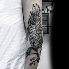 Al onze tattoo benodigdheden wordt op kwaliteit gecontroleerd om de hoogste kwaliteit te kunnen garanderen. 100 Hawk Tattoo Designs For Men Masculine Bird Ink Ideas