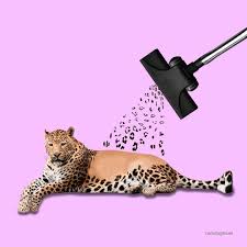 Collage Digital Collage Photoshop Visualart Leopard Artwork Digital Collage Visual Art Art Inspiration