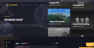 As a single person, you're well aware of who is responsible for the charges on your electricity bill. 10 Best Minecraft Server Hosting 2021 Cheap Free Options
