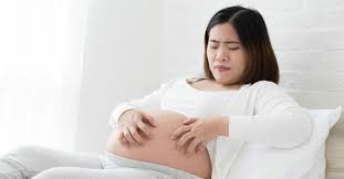 Bolehkah ibu hamil makan nangka? Ibu Hamil Makan Nangka Ketahui Manfaat Dan Risikonya Berikut Ini Theasianparent Indonesia