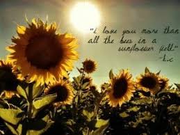 Check spelling or type a new query. Quotes Sunflowers Sunflower Love Quotes Sunflower Quotes And Sayings Sunflower Quotes Flower Quotes Sunflower