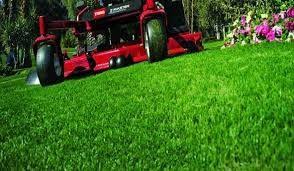 Can i use handy to find affordable lawn mowing services near me? Lawn Mowing Services In Savannah Ga