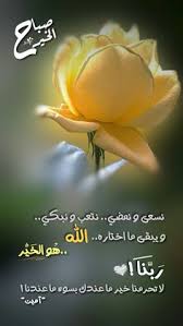 pin on منشوراتي المحفوظة
