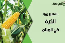 تفسير رؤية الذرة في المنام التفسيرات الايجابية والسلبية لحلم الذرة ارب حظ