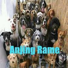  160 Meme Receh Ideas Cartoon Jokes Memes Funny Faces Jokes Quotes