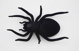 Browse 1,685 cute spider stock photos and images available or search for cute spider vector to find more great stock photos and pictures. China Solar Tarantula Spider Funny Moving Toy Cute Spider Solar Gadget Spider China Solar Tarantula And Solar Gadget Spider Price