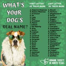 Image result for Recreation Pets Dogs Names