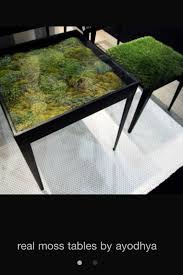 Moss Table Terrarium Shadow Box Love It Terrarium Table Garden Table Living Furniture