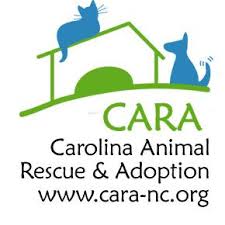 Do not enter the shelter unless instructed to do so by michigan humane staff. Pets For Adoption At Carolina Animal Rescue And Adoption In Sanford Nc Petfinder