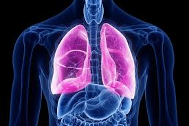 Cystic fibrosis is an inherited disease characterized by the buildup of thick, sticky mucus that can damage many of the body's organs. Protein Promotes The Respiratory Complications Of Cystic Fibrosis
