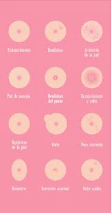 Pin En Trucos
