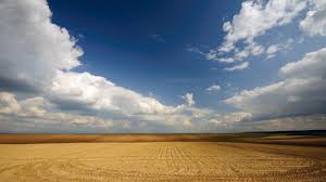 „se vorbește de eliminarea subvenției pe suprafață din anul 2020 din ce în ce mai mult. Primii 10 Beneficiari De SubvenÅ£ii Agricole AcuzaÅ£i De Nereguli Apia Le A Dat Mai PuÅ£ini Bani Decat Au Cerut