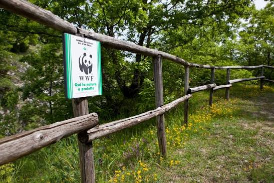 Oasi naturale di Guardiaregia - Wikipedia
