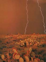 Pin By On Somewhere In Texas Desert Aesthetic Orange Aesthetic Western Wall Art
