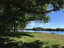 Maybe you would like to learn more about one of these? The Marina Picture Of Arrowhead Marina Rv Park Scotia Tripadvisor