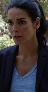 Rizzoli & Isles" For Richer or Poorer (TV Episode 2016)