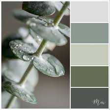 Eucalyptus Photography Download Set Of 3 Prints Digital Print Botanical Print Instant Download Nature Photography Wall Art Color Schemes Colour Palettes Eucalyptus Photography Wall Art