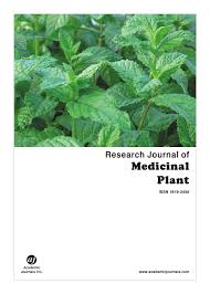 Image result for Faurea rochetiana