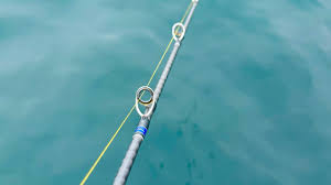 釣りGOOD【超特化】東海・北信越の釣り情報＆釣具レビュー