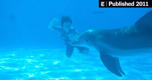 At 3 months old, winter lost. Dolphin Tale Stars Morgan Freeman And Nathan Gamble Review The New York Times