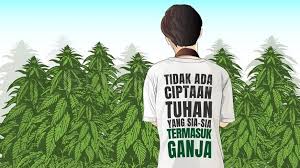 Hal itu karena ada efek samping yang berbahaya bagi kesehatan tubuh. Membongkar Mitos Mereka Ingin Ganja Dilegalkan Di Indonesia