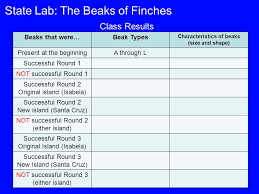 To download free regents practice test 1 answer key you 2012 august answer key new paltz central 2012 august answer key new paltz central the university of the state of new york. State Lab The Beaks Of Finches Page 117 1 You Will Turn In The Answer Packet Pages 125 To 130 3 Count Off By Letters A To L 4 Sit Next To Your Ppt Download