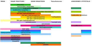 Spectrum Coverage Of Antibiotics Covered In A Chart