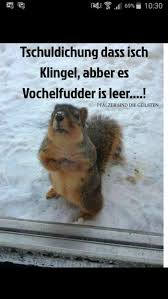 Der ist doch allerhöchstens erst 5 jahre alt. 1001 Lustige Bilder Zum Totlachen Die Die Stimmung Verbessern