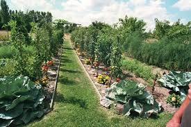 Potager Paysager With Images Sustainable Garden Garden Design Plans Amazing Gardens