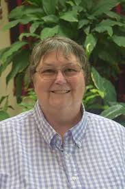 The Serendipitor Summer 18