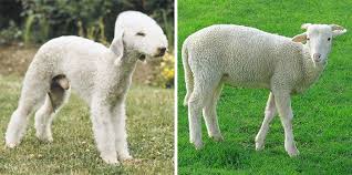 Pin On Look Alikes