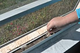 Maybe you would like to learn more about one of these? How To Clean Window Tracks First Home Love Life