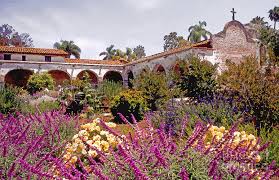 The san juan botanical garden, also known as the botanical garden of the university of puerto rico, is located in the caribbean city of san juan, capital of puerto rico. Garden Of Mission San Juan Capistrano Photograph By Linda Parker