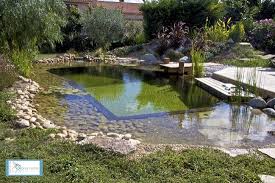 Ponton 3 Piscine Naturelle Piscine Naturelle Bassin Naturel Piscine Ecologique