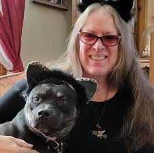 Pitbulls and fireworks reaction