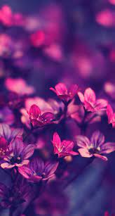 Pin On 3d Wallpapers