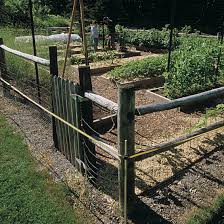 The guy showed how to make this fence that i am about to share with you below. Deer Proof Electric Fence Finegardening