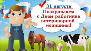 До конца года остается 122 дня. 31 Avgusta Pravoslavnyj Den Veterinara Youtube