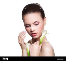 Fresh calla lily hi-res stock photography and images