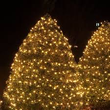 Net Lights And Tree Wraps Christmas Lights Etc Christmas Lights Net Lights Christmas Lights Etc