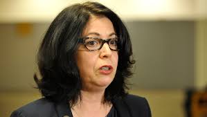 Tennessee Democratic chairman assails legislative session