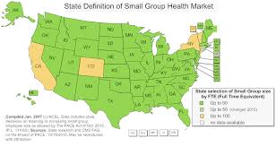 health insurance for small and large businesses state and